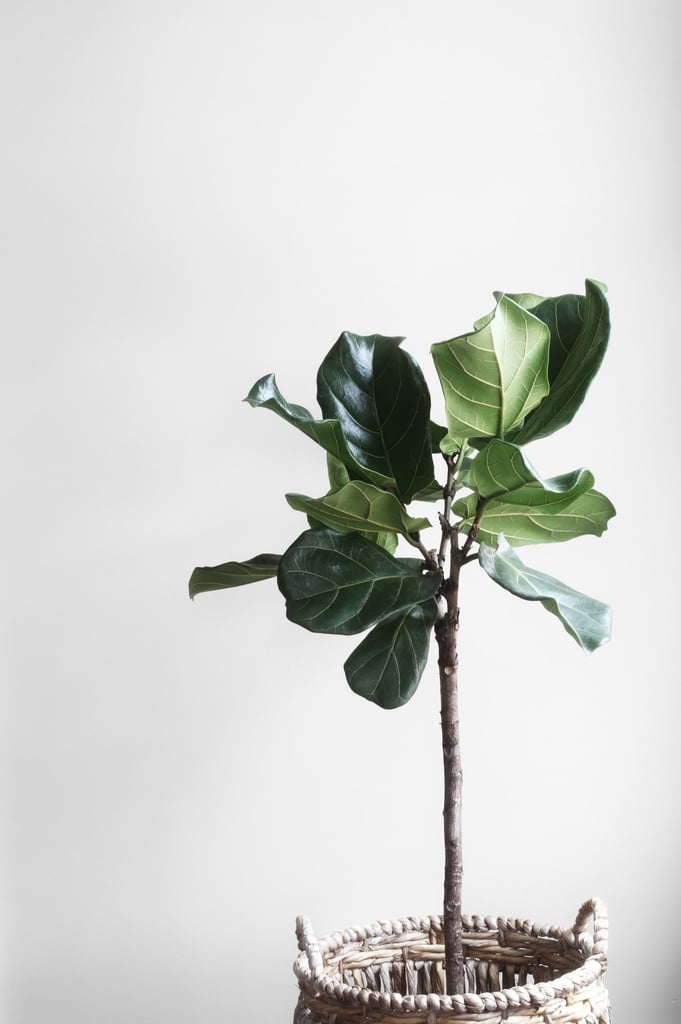 lauren-mancke-60547-unsplash