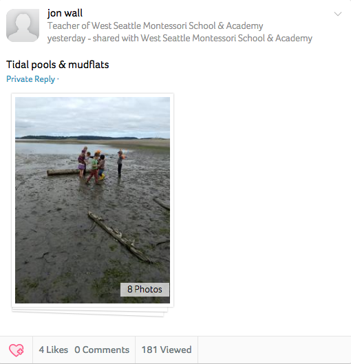 Screen Shot 2018-05-18 at 3.22.47 PM
