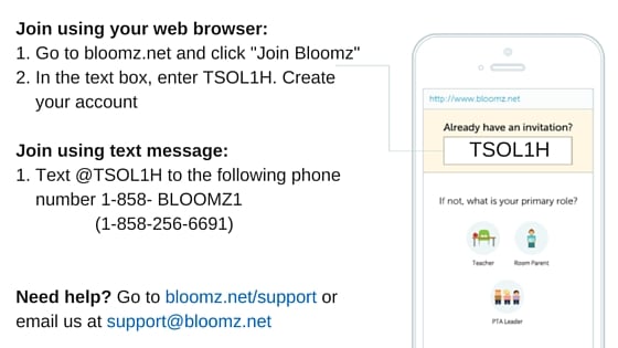 Bloomz TXT Instructions