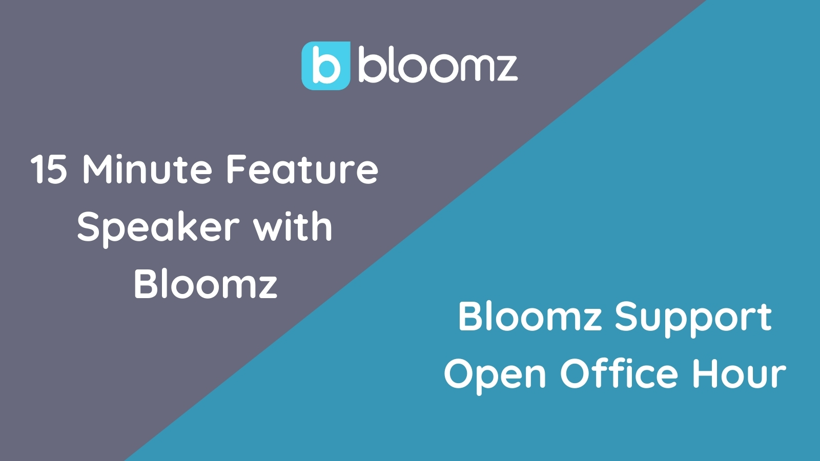 Two New Ways to Learn More about Bloomz!