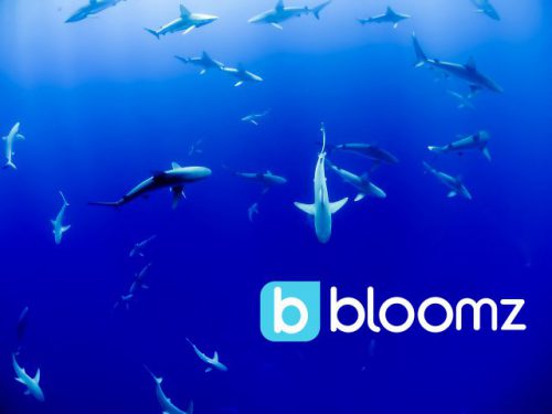 Bloomz Makes a Big Splash at #SharkTankEDU